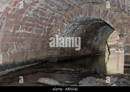 Dipper auf Nest unter einer Brücke Stockfoto