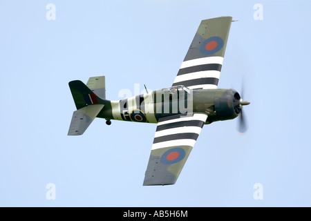 Ein Grumman Wildcat Träger getragen Kämpfer der Royal Navy Stockfoto
