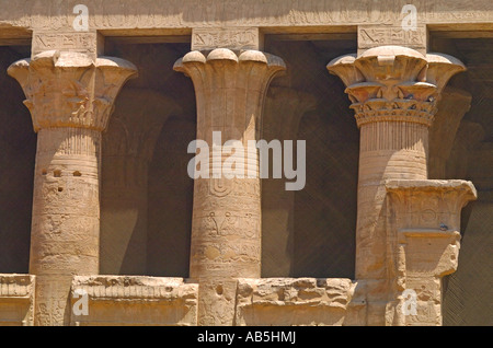 Kunstvolle Schnitzereien auf Spalten in Edfu Tempel, Ägypten. Der Tempel ist Horus gewidmet und stammt aus der Ptolemäerzeit Stockfoto