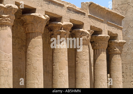 Kunstvolle Schnitzereien auf Spalten in Edfu Tempel, Ägypten. Der Tempel ist Horus gewidmet und stammt aus der Ptolemäerzeit Stockfoto