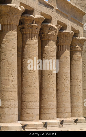 Kunstvolle Schnitzereien auf Spalten in Edfu Tempel, Ägypten. Der Tempel ist Horus gewidmet und stammt aus der Ptolemäerzeit Stockfoto