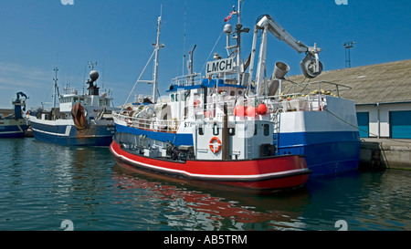 Angelboote/Fischerboote und Trawler im Hafen von Skagen Stockfoto