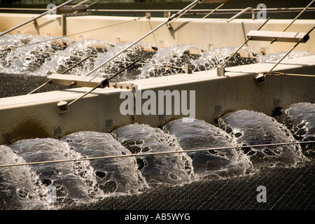 Ein rotierende Filter schöpft Schaum von der Oberfläche des Abwassers in ein Absetzbecken auf einer Kläranlage. Stockfoto