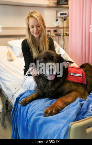 Ein 15 Jahres altes Mädchen, ein Patient in einem Krankenhaus der Kinder in Mission Viejo CA und ein speziell ausgebildete "Therapiehund." Stockfoto