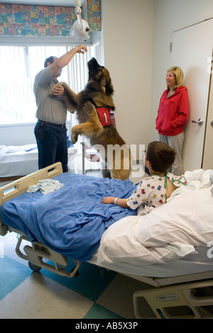 Ein 6 Jahre alter Junge, die, den ein Patient in einem Krankenhaus der Kinder in Mission Viejo CA Uhren speziell, ausgebildeten Therapiehund Stockfoto