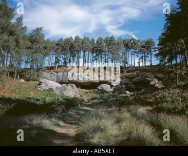 Die St. Cuthbert Höhle, in der Nähe von belford, Northumberland, England, UK. Stockfoto