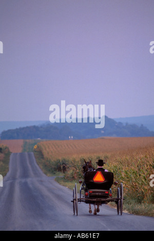Amische Mann in Pferd und Buggy auf langen geraden Feldweg in Lancaster County Pennsylvania Stockfoto