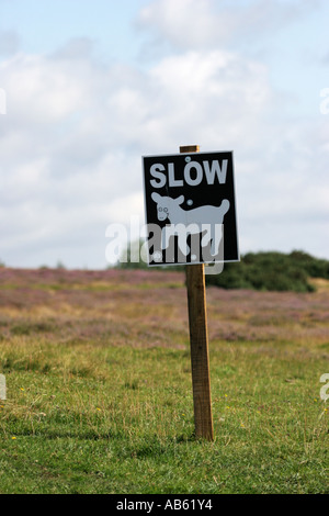 Ein straßenschild Autofahrer und Fahrer zu warnen für die Lämmer und Schafe zu langsam Stockfoto