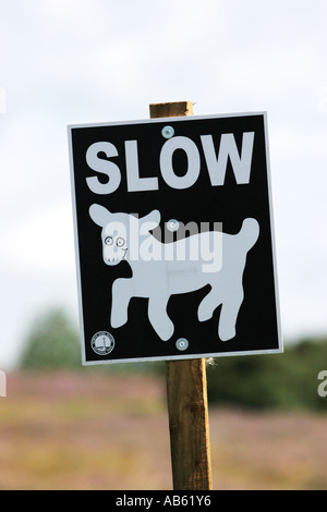 Ein straßenschild Autofahrer und Fahrer zu warnen für die Lämmer und Schafe zu langsam Stockfoto