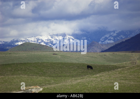 Blick vom Central Valley mit den Sierra Nevada Bergen im Central Valley von Kalifornien Vereinigte Staaten Stockfoto