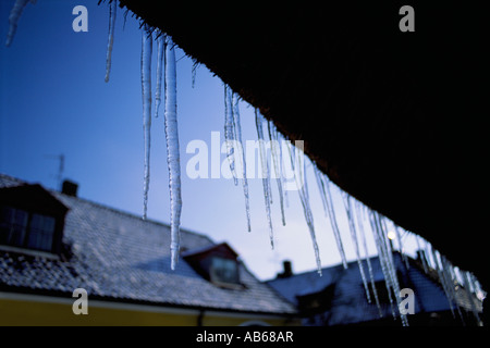 Eiszapfen hängen von einem Strohdach Lund Schweden Stockfoto