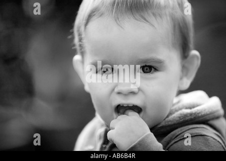 Porträt eines jungen Mannes Stockfoto