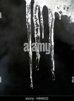 Schmelzende Eiszapfen Stockfoto
