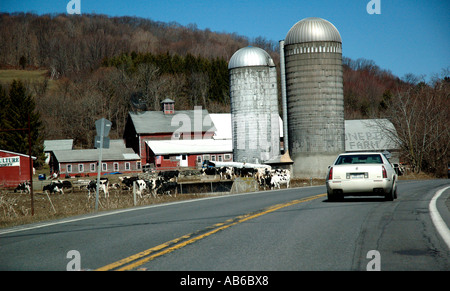 Vermont-Scheune mit Getreide Silo im März. Stockfoto