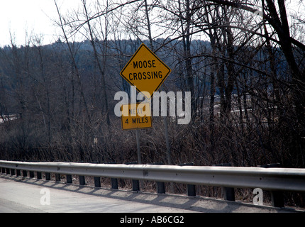 Moose crossing Warnung melden e auf ländlichen US Highway. Stockfoto