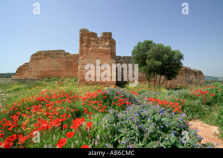 Ruine des Schlosses in Paderne, in der Nähe von Albufeira, Algarve, Portugal Stockfoto