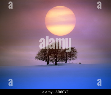 GB - GLOUCESTERSHIRE: Winter Sonnenuntergang auf Cleeve Hill in der Nähe von Cheltenham Stockfoto