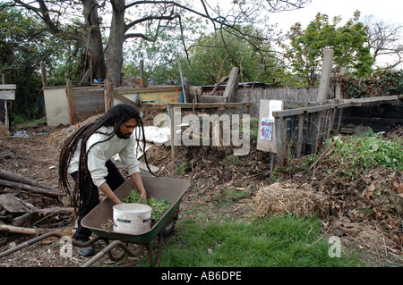 Recycling und Kompostierung in innerstädtischen städtischen Garten Zuteilung abzielen, nachhaltige Lebensweise. Stockfoto