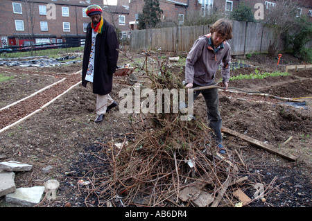 Boden, clearing und Kompostierung der Anbau von Gemüse in innerstädtischen städtischen Garten Zuteilung Land vorbereiten. Stockfoto