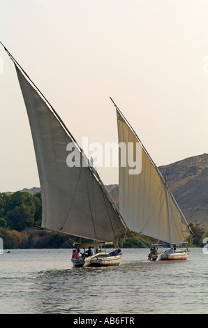 Zwei Feluken - traditionelle hölzerne Segelboote am Fluss Nil Assuan, Ägypten Stockfoto