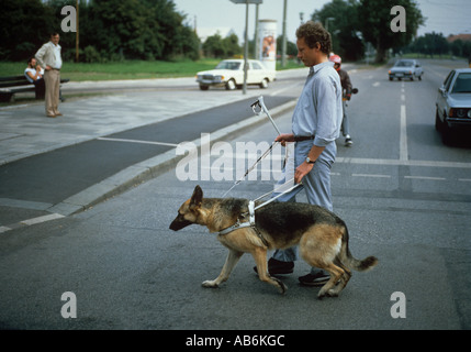Blinde Mann von seinem Hund eine Straße überqueren Stockfoto