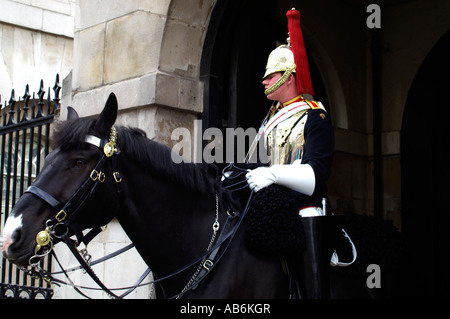 Soldat der The Blues and Royals in zeremoniellen Uniform montiert Stockfoto