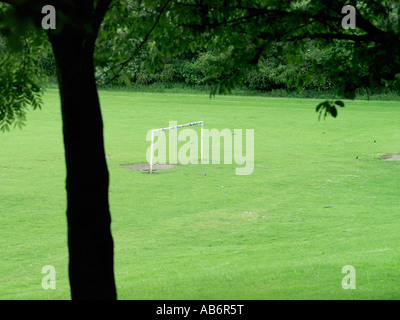 Torpfosten in der Ferne mit Baum im Vordergrund Stockfoto