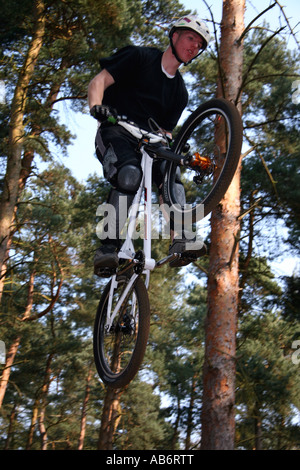 Ein Reiter auf die Sprünge bei Chicksands, Rowney Warren, Bedfordshire. Stockfoto