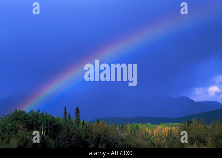Ein Regenbogen und Sturm über einen borealen Wald im Norden von British Columbia Kanada Stockfoto