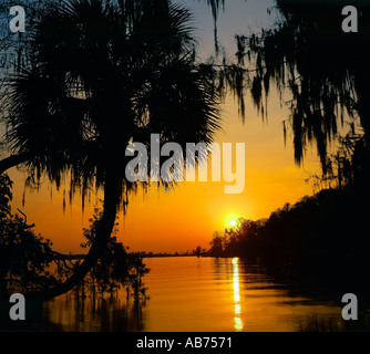 Florida-Sonnenuntergang mit Palmen und Zypressen, im See widerspiegelt Stockfoto