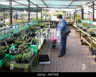 Harlow Essex Garten Zentrum 61 sechzig Jahre alten Dame, die Auswahl der Pflanzen im Garten Stockfoto