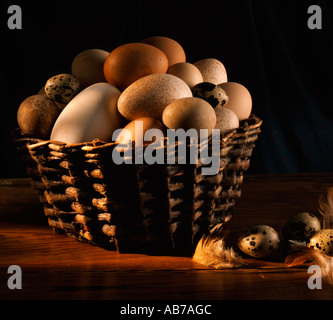 Sortiment von Eiern Stockfoto