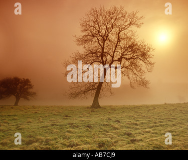 GB - GLOUCESTERSHIRE: Herbst in den Cotswolds Stockfoto