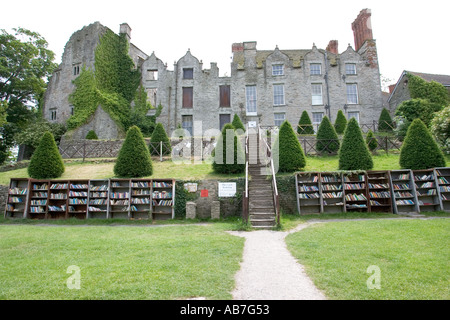 Reihen von gebrauchte Bücher in Heu Burg Buchhandlung Hay on Wye UK Stockfoto