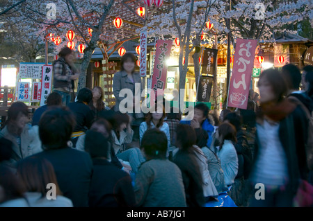 Hanami feiern im Maruyama Koen, Kyoto, Japan Stockfoto