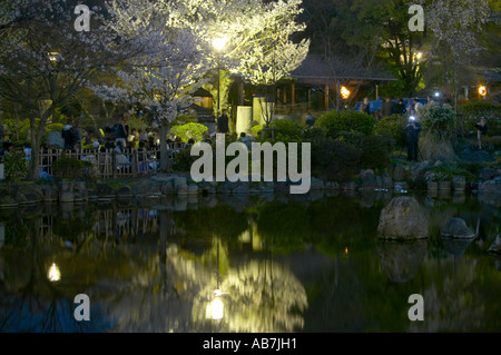 Hanami feiern im Maruyama Koen, Kyoto, Japan Stockfoto