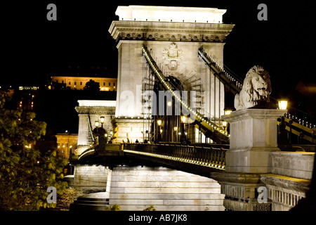 Kettenbrücke über die Donau in Budapest Ungarn nachts Stockfoto