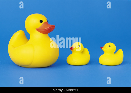 Enten Stockfoto