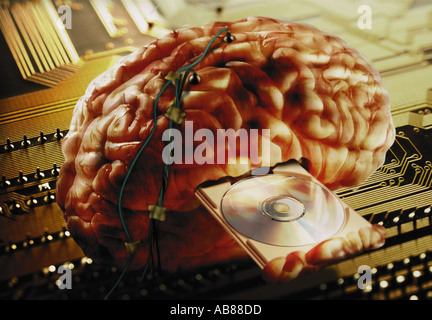 Gehirn verdrahtet Informationen Stockfoto