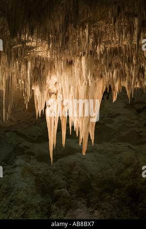 Stalaktiten in einer Höhle in Carlsbad Caverns National Park, USA, New Mexico Stockfoto