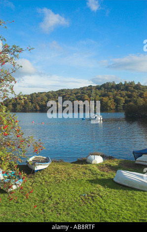 Loch Lomond bei Aldochlay Argyll & Bute Stockfoto