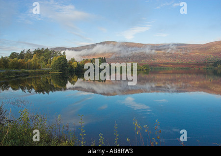 Loch Alvie nr Aviemore Highland Schottland Stockfoto