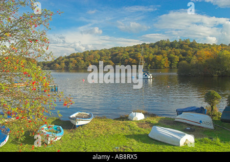 Boote am Ufer von Loch Lomond in Aldochlay nr Luss Argyll & Bute Stockfoto