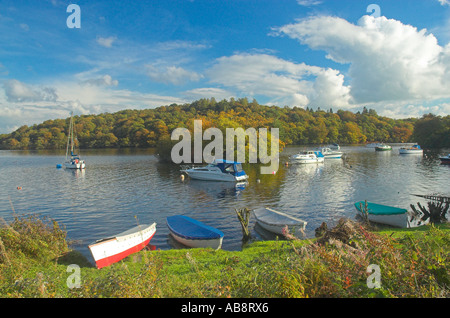 Boote am Ufer von Loch Lomond in Aldochlay nr Luss Argyll & Bute Stockfoto