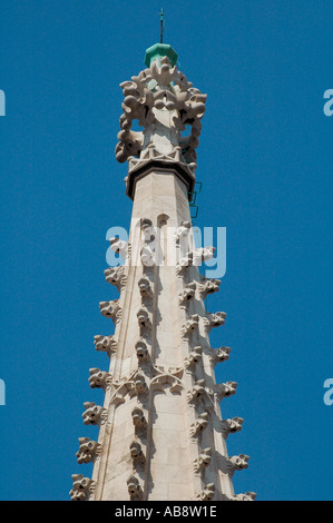 Wasserspeier verzieren Der Turm der römisch-katholischen Matthias oder Matyas Kirche in der blumigen spätgotischen Stil in der Budaer Burg, Budapest gebaut Stockfoto