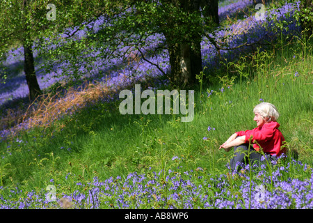 Lady Rentner sitzen am Hang unter den Glockenblumen auf Malvern Hills UK Stockfoto