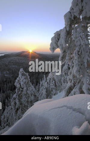 Sonnenaufgang am Koli, Finnland Stockfoto