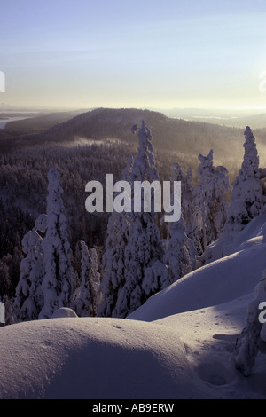verschneite Landschaft auf der Koli-Nationalpark Koli, Finnland, Stockfoto