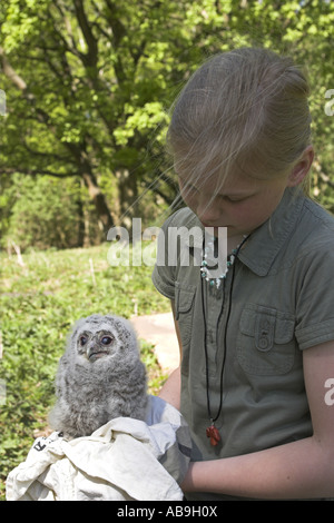 Eurasische Waldkauz (Strix Aluco), Mädchen mit eurasische Waldkauz Küken Stockfoto