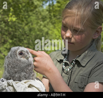 Eurasische Waldkauz (Strix Aluco), Mädchen mit eurasische Waldkauz Küken Stockfoto